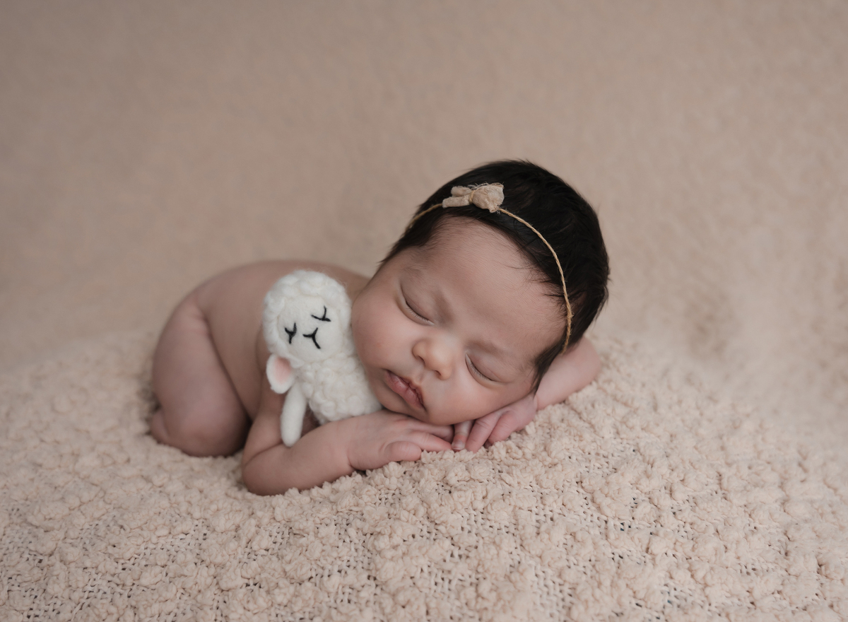 Castle Rock Newborn Photography - Baby Lamb